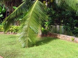 Polynesian Cultural Center